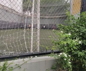 65813866896981270137903300492106386649531677194272016357085992897040607795293